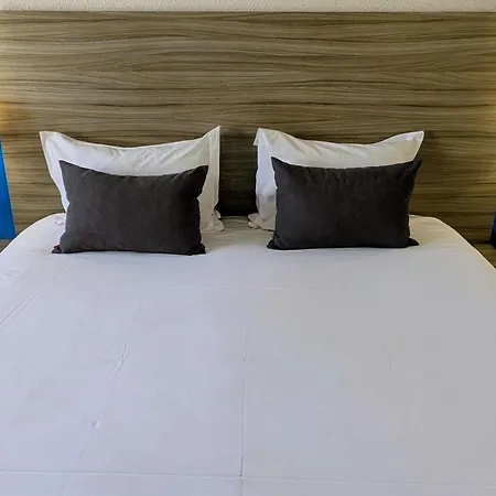 Ibis Styles Centre Gare 3* גרנובל